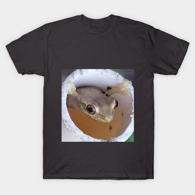 Froggie T-Shirt by Mark's Garden Cards